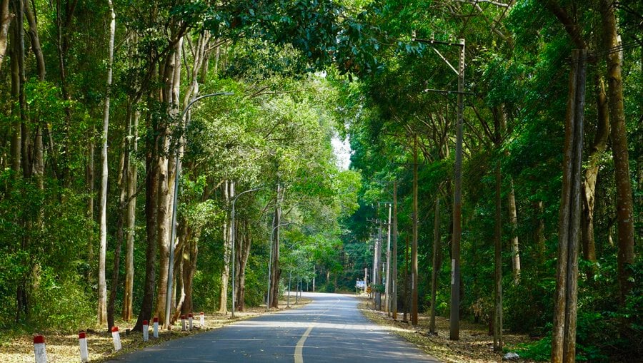 Bình châu phước bửu