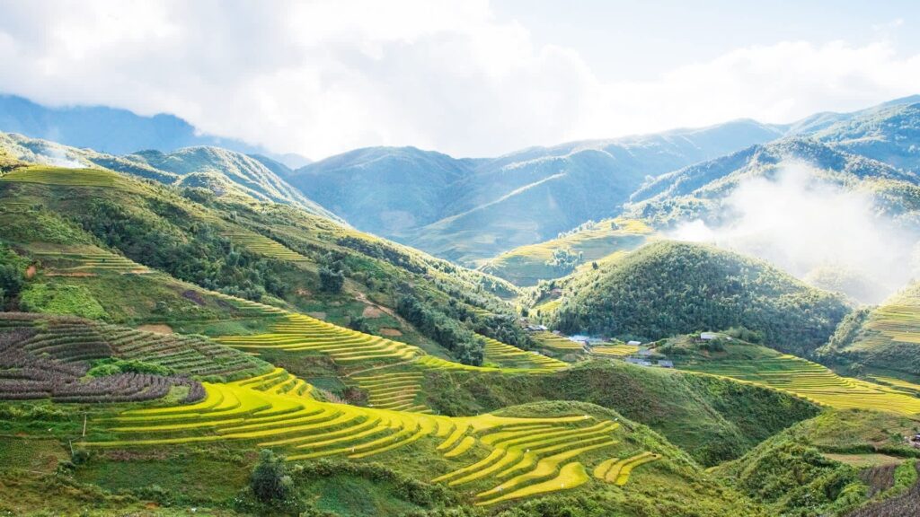 Cảnh đẹp xanh