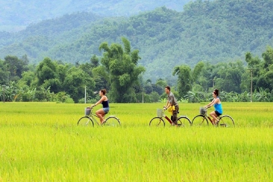 Dap xe mai chau