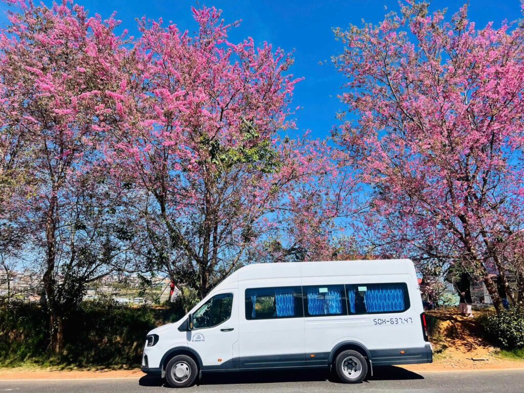 Thuê xe ford transti 18 chỗ