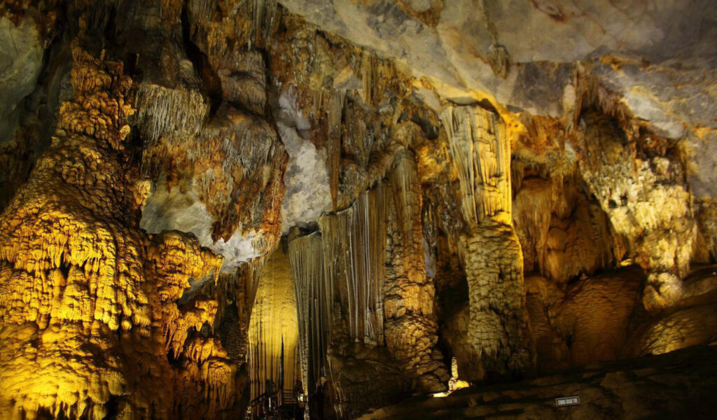 Ngũ động bản ôn